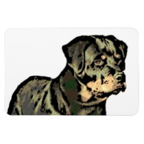 Rottweiler dog magnet