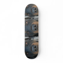 Rottweiler Dog Skateboard