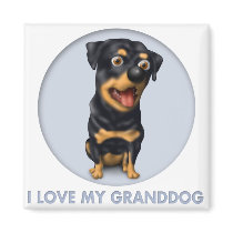 Rottweiler Granddog magnets