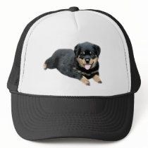Rottweiler Hat