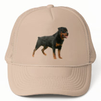 Rottweiler Hat by normagolden Rottweiler Hat