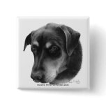 Rottweiler-Lab Mix Buttons