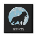 Rottweiler magnets by nauticalimages Rottweiler magnets