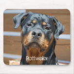 Rottweiler Mouse Pad