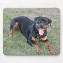 Rottweiler Mouse Mat