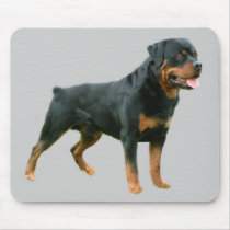 Rottweiler Mousepad by normagolden Rottweiler Mousepad