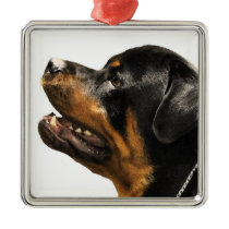Rottweiler Ornaments