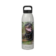 Rottweiler Photo Water Bottle
