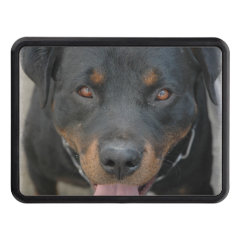 Rottweiler Picture Trailer Hitch Covers