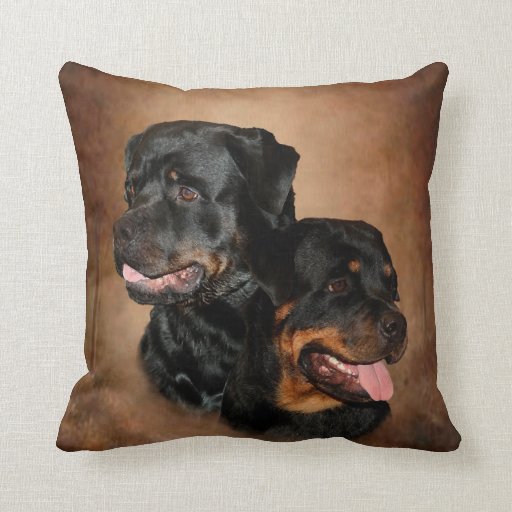 rottweiler pillow