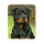 Rottweiler Post Cards