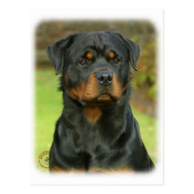 Rottweiler Post Cards
