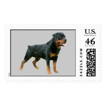Rottweiler Postage postage