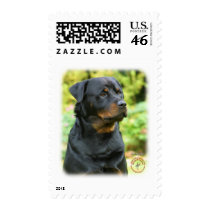 Rottweiler postage