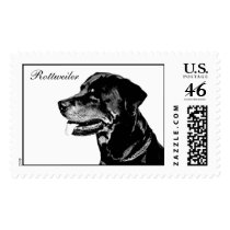 Rottweiler postage stamp