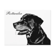 Rottweiler postcard