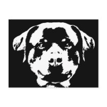 Rottweiler Postcard by pupaya Rottweiler Postcard