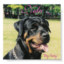 Rottweiler posters by wildwollf21 Rottweiler posters