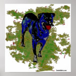 Rottweiler Print