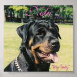 Rottweiler Print