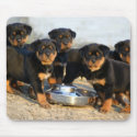 rottweiler puppies mousepads by denvercris rottweiler puppies mousepads
