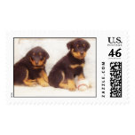 Rottweiler puppies postage