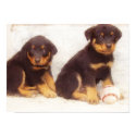 Rottweiler puppies poster posters by ritmoboxer Rottweiler puppies poster posters