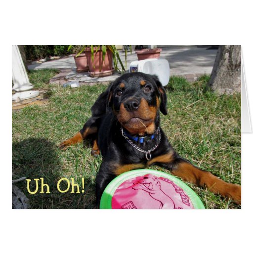 rottweiler puppy big hug card zazzle rottweiler christmas ornaments
