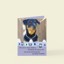 Rottweiler Puppy Birthday Greetings cards