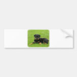 Rottweiler puppy bumper sticker