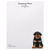 Rottweiler Puppy letterhead