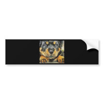 Rottweiler Puppy Portrait Bumper Sticker