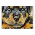 Rottweiler Puppy Portrait Cards