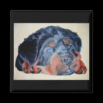 Rottweiler Puppy Portrait magnets
