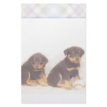 Rottweiler puppy stationary stationery