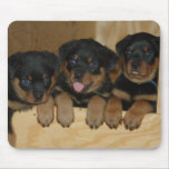 rottweiler pups mouse mats