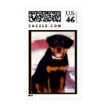 Rottweiler Stamps