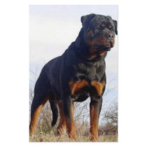 Rottweiler stationery