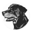 Rottweiler sticker by Junglegeorge Rottweiler sticker