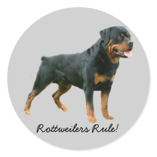 rottweiler decal rottweiler sticker zazzle rottweiler decal rottweiler sticker zazzle
