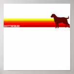 Rottweiler With Stripes Print