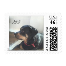 Rottweiller 2008 postage by nmiao1975 Rottweiller 2008 postage