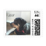 Rottweiller 2008 postage