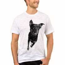 Rottwelier t-shirts