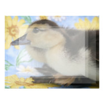 rouen duckling facing left low head letterhead