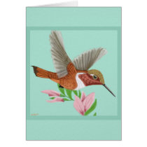Roufus Hummingbird Cards