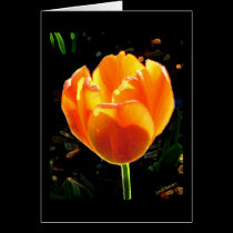 Rouge d'or cards