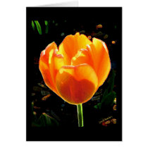Rouge d'or cards