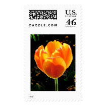 rouge d'or postage
