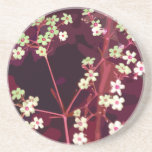 Rouge Floral Sandstone Drink Coaster